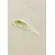 Pears & Share Lip Scrub 10 ML