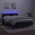 Vidaxl Box spring postelja z vzmetnico LED črna 140x190 cm žamet