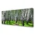 tulup.si Slika na platnu Grass drevesa narava 120x60 cm