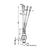 SKT100/16, 100A, 1600V (M12)