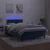 Vidaxl Box spring postelja z vzmetnico LED tem. modra 120x190 cm žamet