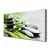 tulup.si Slika na platnu Stones bamboo rastlin 140x70 cm