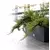 Prosperplast Saksija Rato Case C800, Antracit