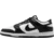Nike Obutev Dunk Low Retro Sneaker