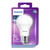 LED sijalica PHILIPS, E27, 10,5W (75W) , 1055 lm, 6500 K, A67, FR, PS529