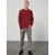 DAN FOX APPAREL Kavbojke Edgar, siva