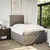 Vidaxl Box spring postelja z vzmetnico taupe 120x190 cm blago