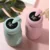 Digitalni termos roze boje 320ml