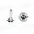 SIJALICA 12V H7 55W PX 26D SRL