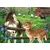 Ravensburger Puzzle Novi prijatelji, 60 delova