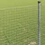 Zavarena žičana ograda Srebrno