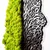 Wallity Zidna dekoracija Green And Dry, 45x1x56 cm, Zelena