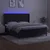 Vidaxl Box spring postelja z vzmetnico LED črna 180x200 cm žamet