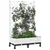 Vrtni saksija s rešetkom i kotačima Bijela 80 x 40 x 131,5 cm