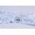 BabyMatex Odeja z vezenjem 75x100 RICCO Owl