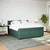 Vidaxl Box spring postelja z vzmetnico temno zelena 180x200 cm žamet