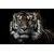 Slika tiger - 30x20