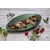 Risoli Ponev za ribe Dr. Green 46x26 cm