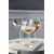 Kozarec za šampanjec JUVEL, set 4 kosov, 340 ml, Lyngby Glas