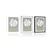 Plakat s paspartujem bel list monstere - 30x45 silver