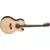 Washburn Festival EA20S - Nuno Bettencourt | Natural