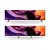 Sony 55 X81K 4K Google TV