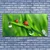 tulup.si Slika na platnu Pikapolonica grass drops 125x50 cm