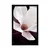 Plakat cvet magnolije na abstraktnem ozadju - 40x60 black
