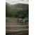VAN RYSEL Zeleni gravel bicikl AF DISCOVER L