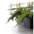 Prosperplast Saksija Rato Case C500, Antracit