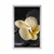 Plakat Zen kamni z rumeno orhidejo - 20x30 no frame