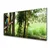 tulup.si Steklena slika Parrot tree narava 140x70 cm 4 obešalnika