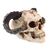 Dekoracija (lobanja) Devilsskull With Rams Horns - 766-010