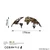 WALLXPERT World Map Medium 3