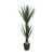 MID.YOU Umetna Rastlina Yucca