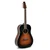 Applause Kitara akustična Wood Classics AAS96-1 Dreadnought Slope Shoulder AP510.108 Gewa