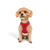 Paws & Whiskers Am za pse Air-Mesh, Crveni