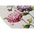 CONCEPTUM HYPNOSE Tepih Ortanca Oval DJT (60x90 cm )
