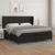 Vidaxl Box spring postelja z vzmetnico črna 200x200 cm umetno usnje