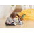 Vtech Smart dog CZ