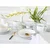 Creatable Kombinirani Servis Luna Color Line, 16-Delni