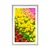 Plakat s paspartujem vrt poln tulipanov - 60x90 no frame