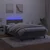 vidaXL Box spring postelja z vzmetnico LED temno siva 120x190 cm žamet