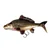 Guma FOX Replicant Carp 18cm
