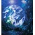 Tapeta slika NASE - 245x270