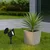LED solarna lampa JOKER LED/1,2V 100 mAh 4000K 31,5 cm IP44 crna