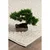 Kremno bela pralna preproga 80x150 cm Loopy – Mila Home