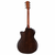 TAYLOR gitara 314ce SPECIAL EDITION