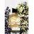 Yves Saint Laurent Ženski parfem Libre, EDP, 50 ml
