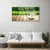 tulup.si Slika na steklu Grass les narava mug 120x60 cm 2 obešalnika